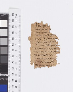 Bodleian Library MS. Gr. class. c. 136 (P) (c)