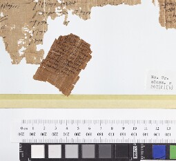 Bodleian Library MS. Gr. class. c. 267 (P) (b)