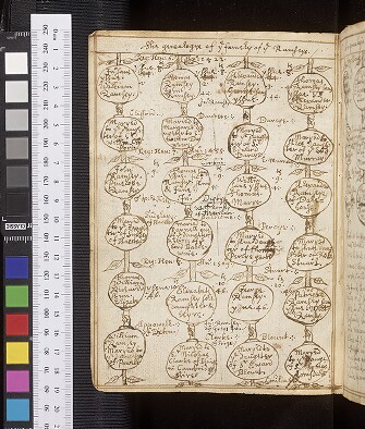 fol. 73v