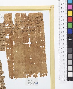 Bodleian Library MS. Gr. class. c. 223 (P) (c)