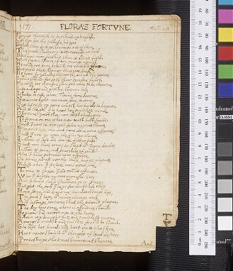 fol. 171r