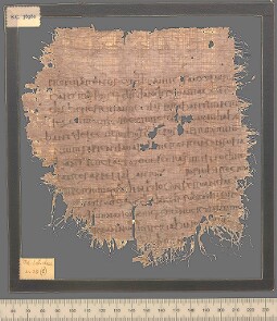 Bodleian Library MS. Lat. class. e. 20 (P)