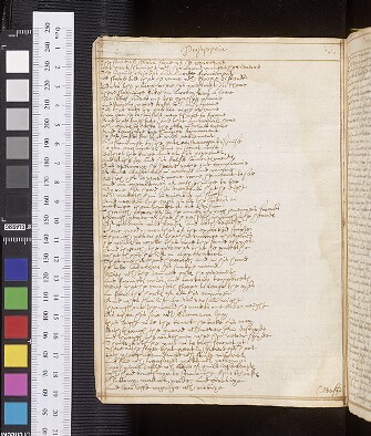 fol. 33v