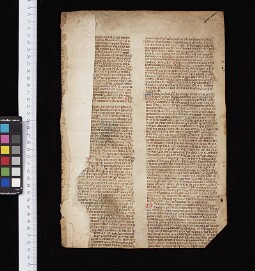 St John's College MS 235 (Fragments 99 & 102)