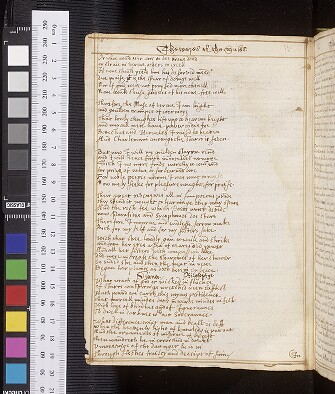 fol. 41v