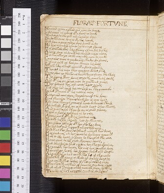 fol. 176v