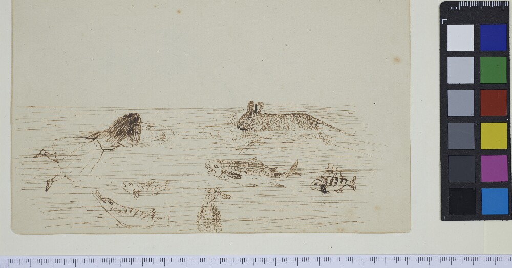 Christ Church Carroll-B1-B12