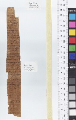 Bodleian Library MS. Gr. class. c. 282 (P) (b)