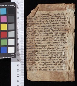 St John's College MS 235 (Fragments 24A, 24C & 24D)