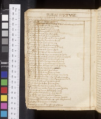 fol. 173v