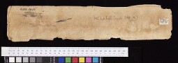 Bodleian Library MS. Ind. Inst. Sansk. 234 (R)