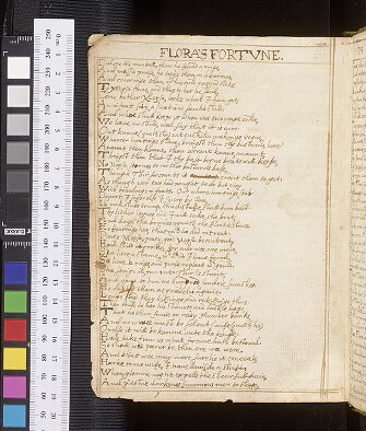 fol. 174v