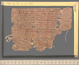 Bodleian Library MS. Gr. th. e. 2 (P)