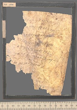 Bodleian Library MS. Gr. th. e. 3 (P)