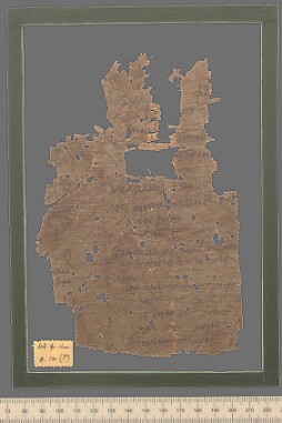 Bodleian Library MS. Gr. class. e. 121 (P)