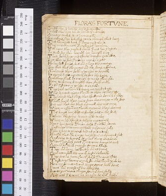 fol. 177v