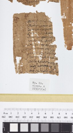 Bodleian Library MS. Gr. class. c. 223 (P) (e)
