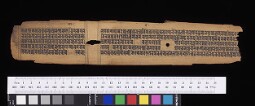 Bodleian Library MS. Sansk. c. 25 (R)