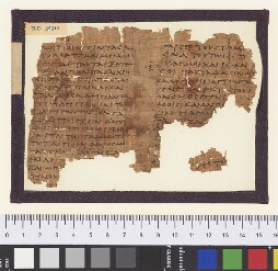 Bodleian Library MS. Gr. class. f. 48 (P)