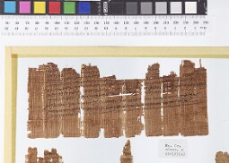 Bodleian Library MS. Gr. class. c. 281 (P) (a)