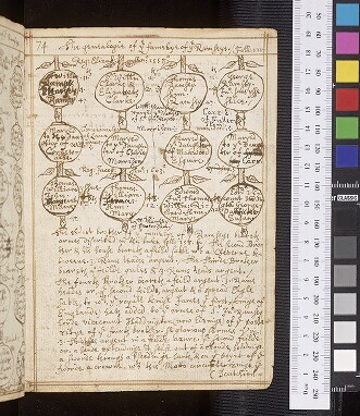 fol. 74r