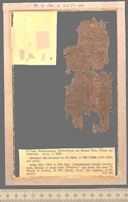 Bodleian Library MS. Gr. class. e. 224 (P)