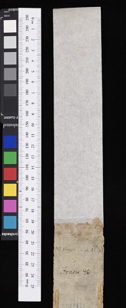 Bodleian Library MS. Fraser Sansk. 41a