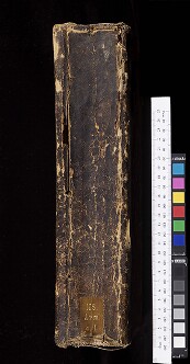 Spine