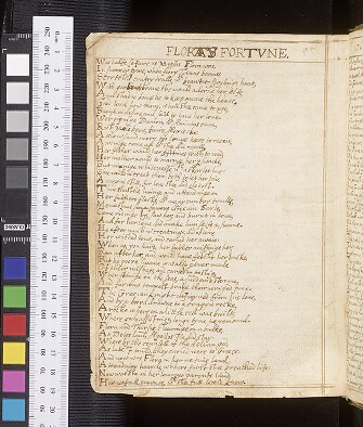 fol. 175v