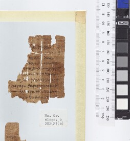 Bodleian Library MS. Gr. class. c. 282 (P) (c)