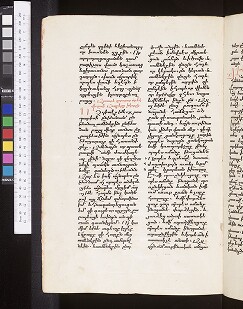 fol. 307v
